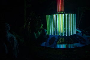 firefly039
