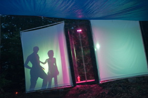 firefly056