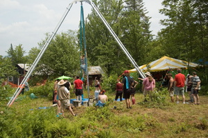 firefly141