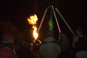 firefly183