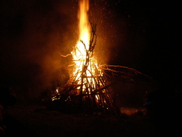 P1010073