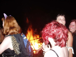 firefly burning