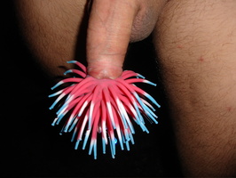 penis flywear