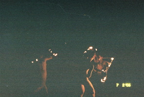 firefly 040
