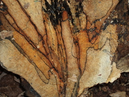 P7030195