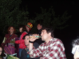 watching the bug burn