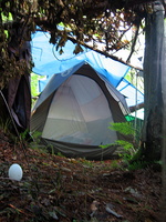 IMG 2587