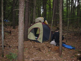 IMG 0434