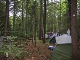IMG 0435