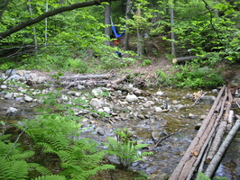 IMG 0437