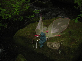 IMG 0438