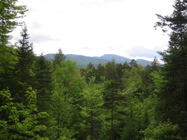 IMG 0468