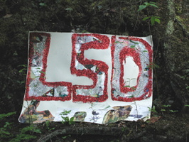 LSD
