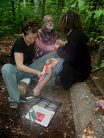 Paintg1