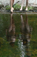 reflectA