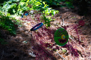 7582 firefly2013-19 600x400
