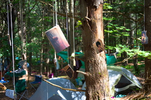 7602 firefly2013-29 600x400