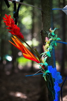 7618 firefly2013-37 400x600