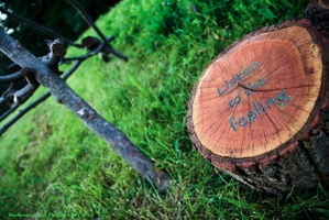 7559 IMG 8538 640x427