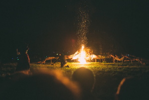 firefly-18