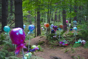 DSC 0027 3200