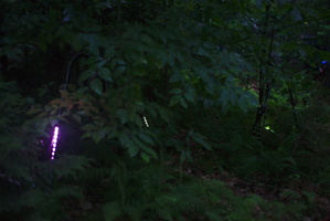 DSC 0179 3200