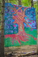 DSC 0002 3200