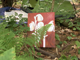 IMG 0005