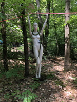 IMG 0009