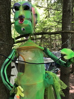 IMG 0031