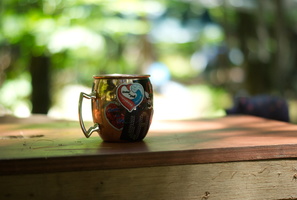 DSC00532e