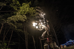 Firefly2019-0289