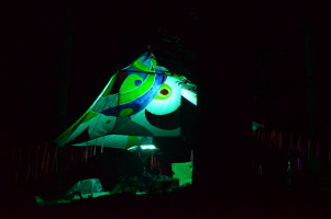 DSC 0115