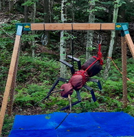 IMG-20250703-WA0000